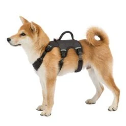 Arnés Ferplast Ergotrekking Negro -Suministros Para Mascotas 224508 224509 224510 ferplast ergotrekking geschirr schwarz hs 10 4