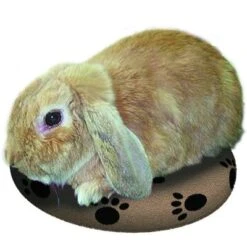 Almohadilla SnuggleSafe -Suministros Para Mascotas 22802 snugglesafe heizkissen f r haustiere hs bunny01 8