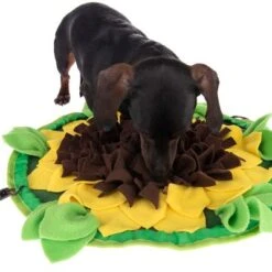 Alfombra Olfativa Sunnyflower Para Perros Y Gatos -Suministros Para Mascotas 229108 sunnyflower fg 0639 1