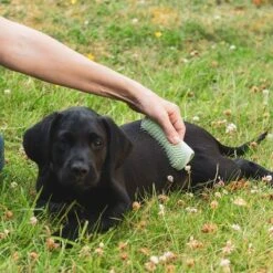 Pet Teezer Cepillo Para Cachorros 15 Pet Teezer Cepillo Para Cachorros -Suministros Para Mascotas 230724 pet teezer welpenbuerste hs 17 0