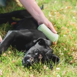 Pet Teezer Cepillo Para Cachorros 19 Pet Teezer Cepillo Para Cachorros -Suministros Para Mascotas 230724 pet teezer welpenbuerste hs 19 6