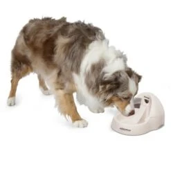 Petmate Fresh Flow Deluxe Bebedero Para Gatos -Suministros Para Mascotas 23406 petmate fresh flow deluxe creme hs 02 9