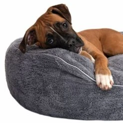 Cama Ortopédica Atlanta Modern Living Para Mascotas -Suministros Para Mascotas 235197 atlanta boxer fg 9717 3