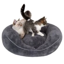 Cama Ortopédica Atlanta Modern Living Para Mascotas -Suministros Para Mascotas 235396 und katze fg 9748 0