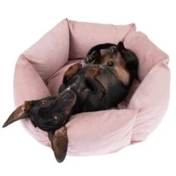 Cama Manila Para Mascotas -Suministros Para Mascotas 235399 hundebett manila fg 0288 2