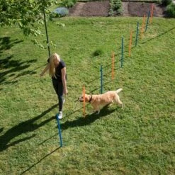 Slalom Agility Fun & Sport -Suministros Para Mascotas 23798 agility fun sport slalom set fg 10 8