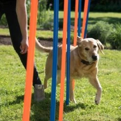 Slalom Agility Fun & Sport -Suministros Para Mascotas 23798 agility fun sport slalom set fg 12 9