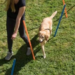 Slalom Agility Fun & Sport -Suministros Para Mascotas 23798 agility fun sport slalom set fg 25 7