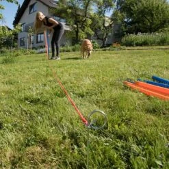 Slalom Agility Fun & Sport -Suministros Para Mascotas 23798 agility fun sport slalom set fg 4 3