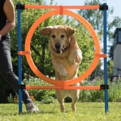 Aro Agility Fun & Sport 30 Aro Agility Fun & Sport -Suministros Para Mascotas 23800 agility fun sport sprungring fg 12 8