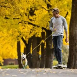 Correa RUFFWEAR Hi & Light Para Perros -Suministros Para Mascotas 262501 accapi ruffwear hi light leash lichengreen hs 13 5