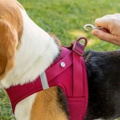 Arnés Curli Vest Clasp Air-Mesh Fucsia Para Perros -Suministros Para Mascotas 267496 267304 267305 267306 curli vest geschirr clasp airmesh fuchsia hs 04 9
