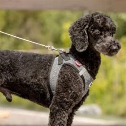 Correa De Bolsillo Curli Ultrarresistente 16 Correa De Bolsillo Curli Ultrarresistente -Suministros Para Mascotas 267896 267897 ultrastarke taschenleine hs 05 3