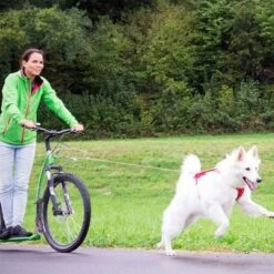 Correa De Bolsillo Curli Ultrarresistente 13 Correa De Bolsillo Curli Ultrarresistente -Suministros Para Mascotas 267896 267897 ultrastarke taschenleine hs 07 2