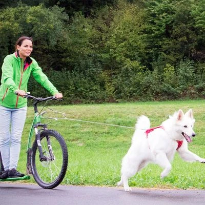 Correa De Bolsillo Curli Ultrarresistente 3 Correa De Bolsillo Curli Ultrarresistente - Imagen 3