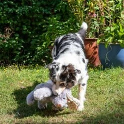 Conejo Elsie De Peluche Para Perros -Suministros Para Mascotas 267996 elsie mit hund fg 3306 3