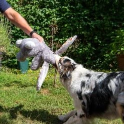 Conejo Elsie De Peluche Para Perros -Suministros Para Mascotas 267996 elsie mit hund fg 3309 7