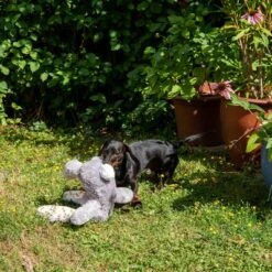 Conejo Elsie De Peluche Para Perros -Suministros Para Mascotas 267996 elsie mit hund fg 3335 8