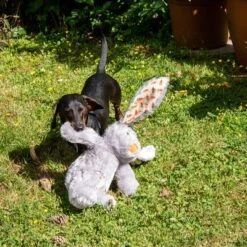 Conejo Elsie De Peluche Para Perros -Suministros Para Mascotas 267996 elsie mit hund fg 3339 8