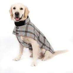Abrigo Flannel Check Para Perros 17 Abrigo Flannel Check Para Perros -Suministros Para Mascotas 269071 flannel check 60cm fg 2336 5