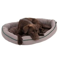 Cama Antibacteriana London Modern Living Para Perros -Suministros Para Mascotas 274564 labrador fg 2881 0