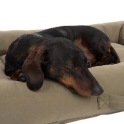 Cama Toronto Modern Living EcoLIFE Para Perros -Suministros Para Mascotas 274567 hundebett toronto ecolife 80x60cm hs 19 9
