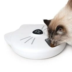 Comedero Automático Catit Pixi Smart 6-Meal -Suministros Para Mascotas 287496 hagencontainer catit pixi smart 6meal futterautomat hs 11 2