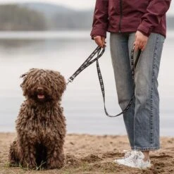 Correa Ajustable Hurtta Bare Carbón Para Perros -Suministros Para Mascotas 288348 hurtta bare verstellbare fuehrleine coal hs 02 1