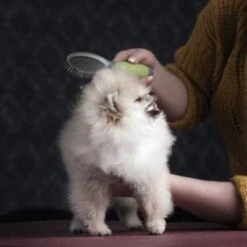 Cepillo De Doble Cara Moser Para Mascotas -Suministros Para Mascotas 289796 moser beidseitige fellpflegebuerste hs 03 3