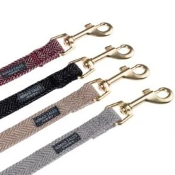 Correa Nomad Tales Calma Arena Para Perros -Suministros Para Mascotas 2 nomad tales calma leinen fg 1660 9