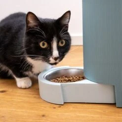 TIAKI Tolva Para Pienso Y Agua, Azul Claro Para Mascotas -Suministros Para Mascotas 302496 duo napf mit katze fg 1019 0