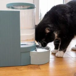 TIAKI Tolva Para Pienso Y Agua, Azul Claro Para Mascotas -Suministros Para Mascotas 302496 duo napf mit katze fg 1028 7