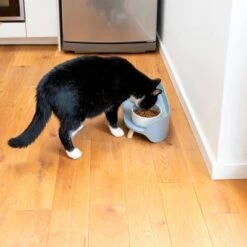 TIAKI Comedero Doble De Cerámica Para Mascotas -Suministros Para Mascotas 302496 tiaki keramiknapf duo 9