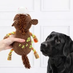 Doglove Caballo De Juguete Para Perros 8 Doglove Caballo De Juguete Para Perros -Suministros Para Mascotas 303597 edupet doglove hundespielzeug pferd hs 03 7