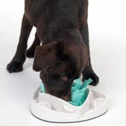 TIAKI Grass Slow Feeder Juguete De Inteligencia Para Perros -Suministros Para Mascotas 304297 tiaki dog grass slow feeder fg 1834 7