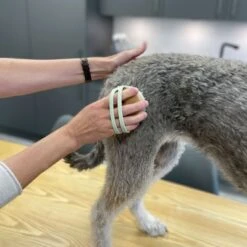 Kooa Cepillo Masajeador Para Gatos -Suministros Para Mascotas 309896 kooa massageb rste f r katzen hs 08 8