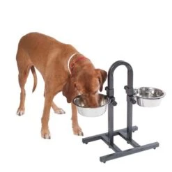 Soporte Ajustable Con Dos Comederos De 1,6 L -Suministros Para Mascotas 313525 u hundebar 05 dsc9197 9