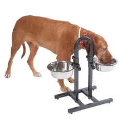 Soporte Ajustable Con Dos Comederos De 1,6 L -Suministros Para Mascotas 313525 u hundebar 06 dsc9199 3