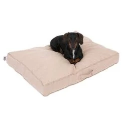 Colchón TIAKI Memory Foam Beige Para Perros 21 Colchón TIAKI Memory Foam Beige Para Perros -Suministros Para Mascotas 318697 tiaki hundematratze beige fg 5020 2