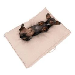Colchón TIAKI Memory Foam Beige Para Perros 28 Colchón TIAKI Memory Foam Beige Para Perros -Suministros Para Mascotas 318697 tiaki hundematratze beige fg 5024 1