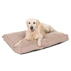 Colchón TIAKI Memory Foam Beige Para Perros 20 Colchón TIAKI Memory Foam Beige Para Perros -Suministros Para Mascotas 318698 mit hund fg 5093 8