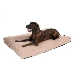 Colchón TIAKI Memory Foam Beige Para Perros 22 Colchón TIAKI Memory Foam Beige Para Perros -Suministros Para Mascotas 318699 mit hund fg 5104 1