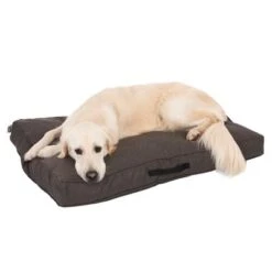 Colchón TIAKI Memory Foam Marrón Para Perros -Suministros Para Mascotas 318701 mit hund fg 5083 6