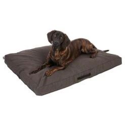 Colchón TIAKI Memory Foam Marrón Para Perros -Suministros Para Mascotas 318702 mit hund fg 5116 0