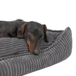 Cama Modern Living Helena Para Perros -Suministros Para Mascotas 320397 hundebett helena grau fg 2233 5