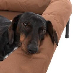 Sofá TIAKI Sun Cream Para Perros -Suministros Para Mascotas 320897 tiaki hundesofa sun cream fg 8401 8