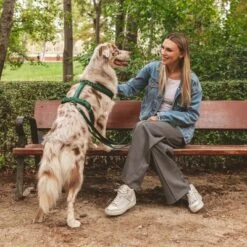 Arnés Nomad Tales Blush Esmeralda Para Perros -Suministros Para Mascotas 323020 nomad tales blush geschirr emerald 02 8