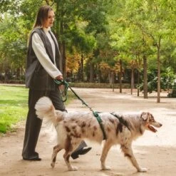 Arnés Nomad Tales Blush Esmeralda Para Perros -Suministros Para Mascotas 323020 nomad tales blush geschirr emerald 03 1