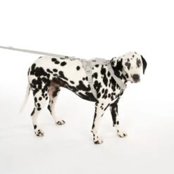 Arnés TIAKI Neoprene Gris Para Perros -Suministros Para Mascotas 323033 neoprene geschirr l fg 0470 9