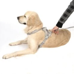 Arnés TIAKI Neoprene Gris Para Perros -Suministros Para Mascotas 323033 neoprene geschirr l fg 1703 5